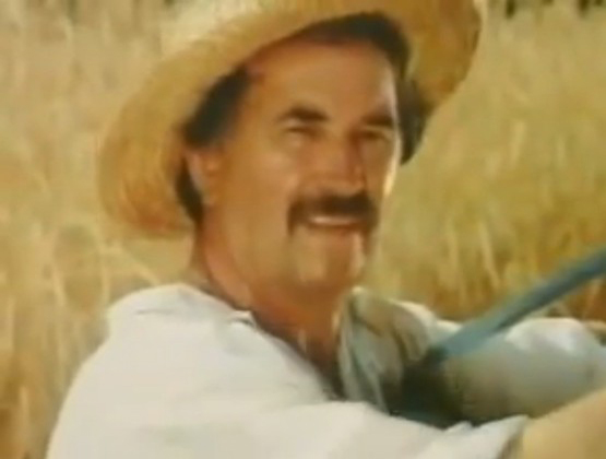   (1993)