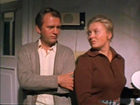   - " " (1976)