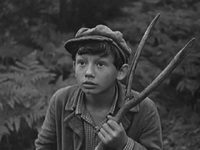 "   " (1965)
