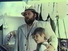 ",   " (1991)