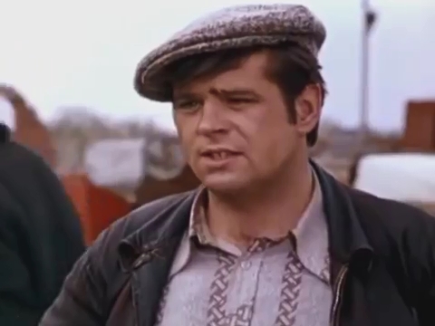   - " " (1981)
