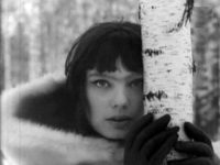 " ()" (1966)