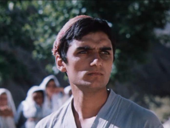    (1979)