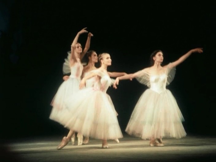    (1988)