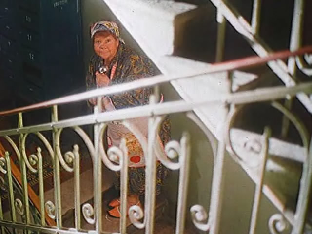   - "   ,   " (1993)