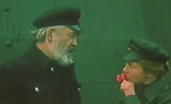  (1982)