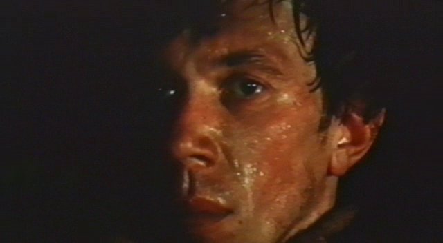  (1986)
