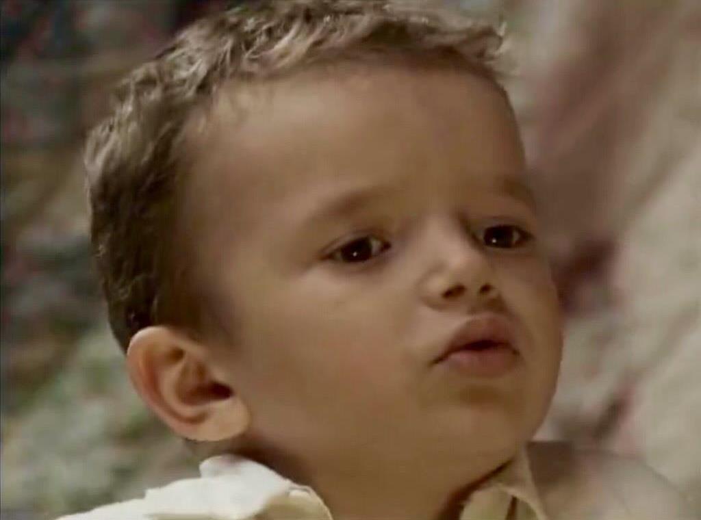 .     (2006)