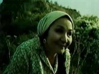 ",    " (1991)