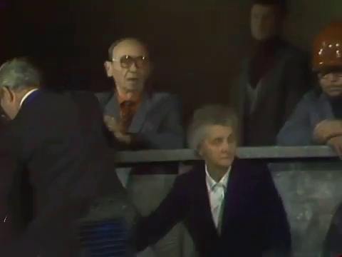   (II) - " " (1981)