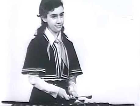  (1973)