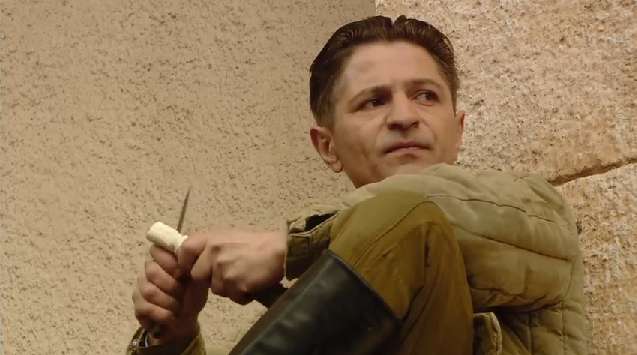  .  (2008)