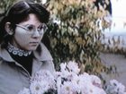   - " " (1981)