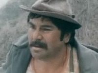 "   " (1986)