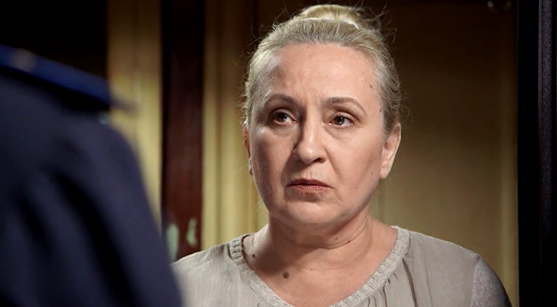  (2017)