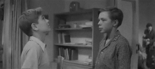   - ",    " (1961)
