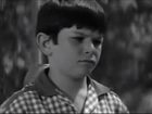   - "   " (1970)