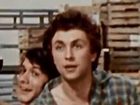   - " " (1982)
