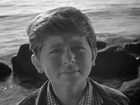   (II) - " " (1964)
