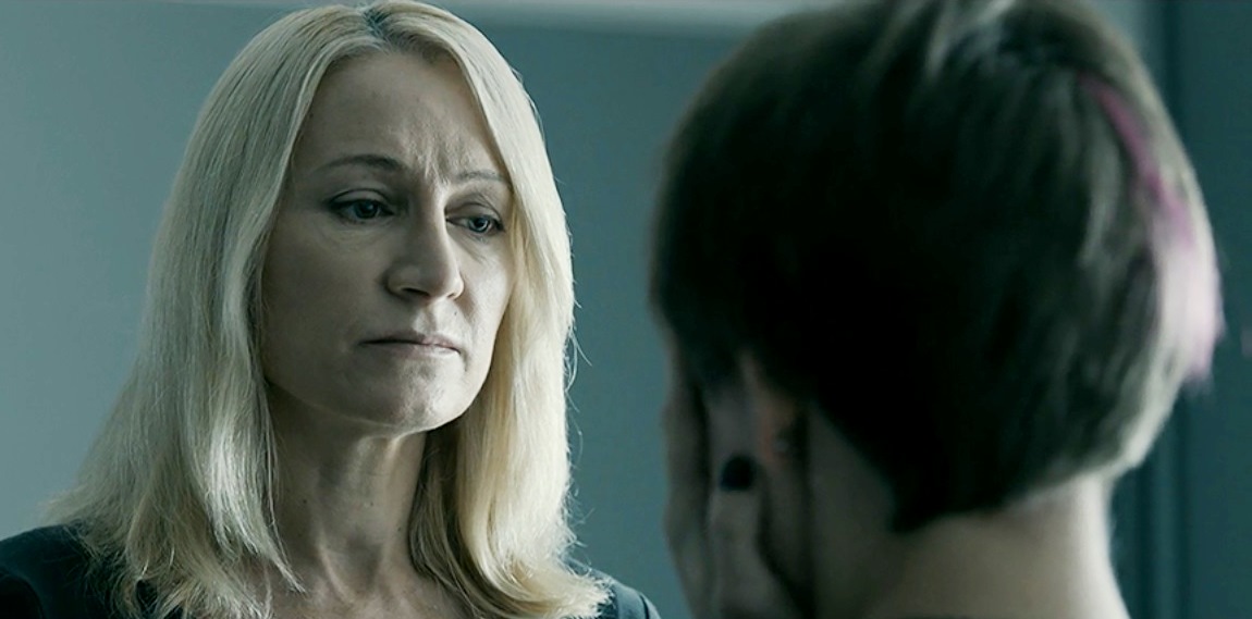  (2017)