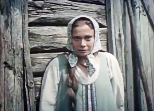    (1988)