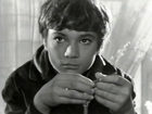   (II) - "   " (1967)