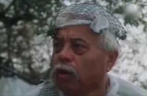   (1988)