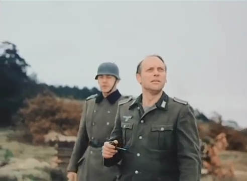   (1980)