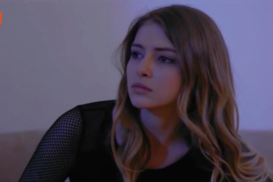  .  (2017)
