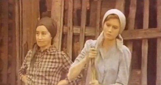   (1979)