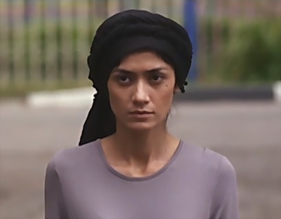  (2013)