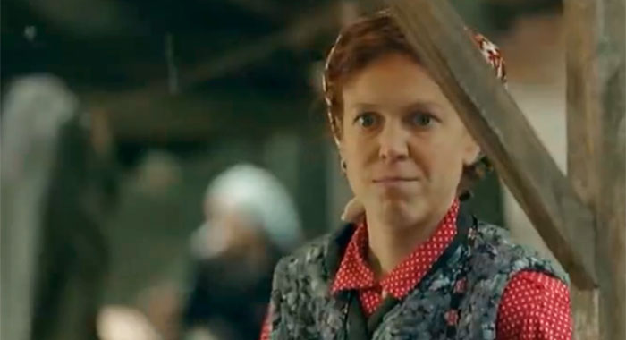 ׸  (2013)