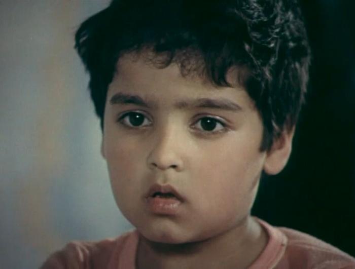   (1986)