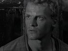   - " - ,  - " (1993)