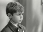   (II) - "   " (1965)