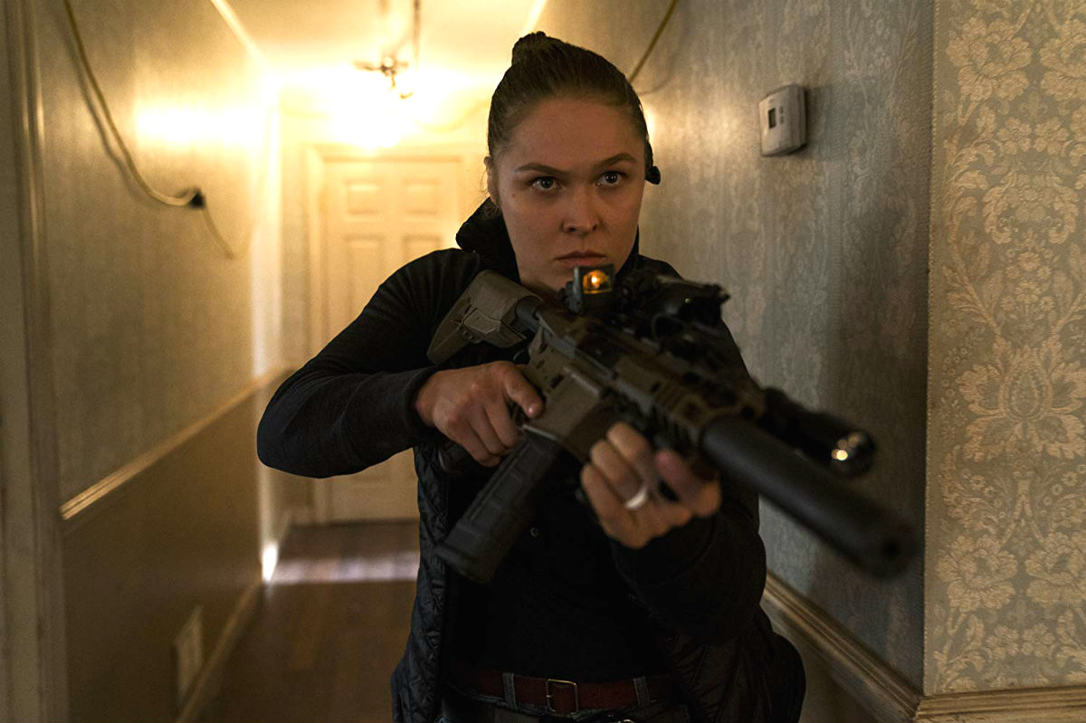 22  (2018)