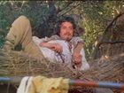   - " "(1982)