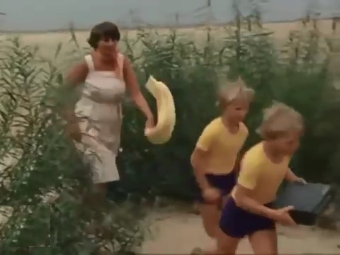   (1979)