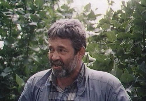   - " " (1991)