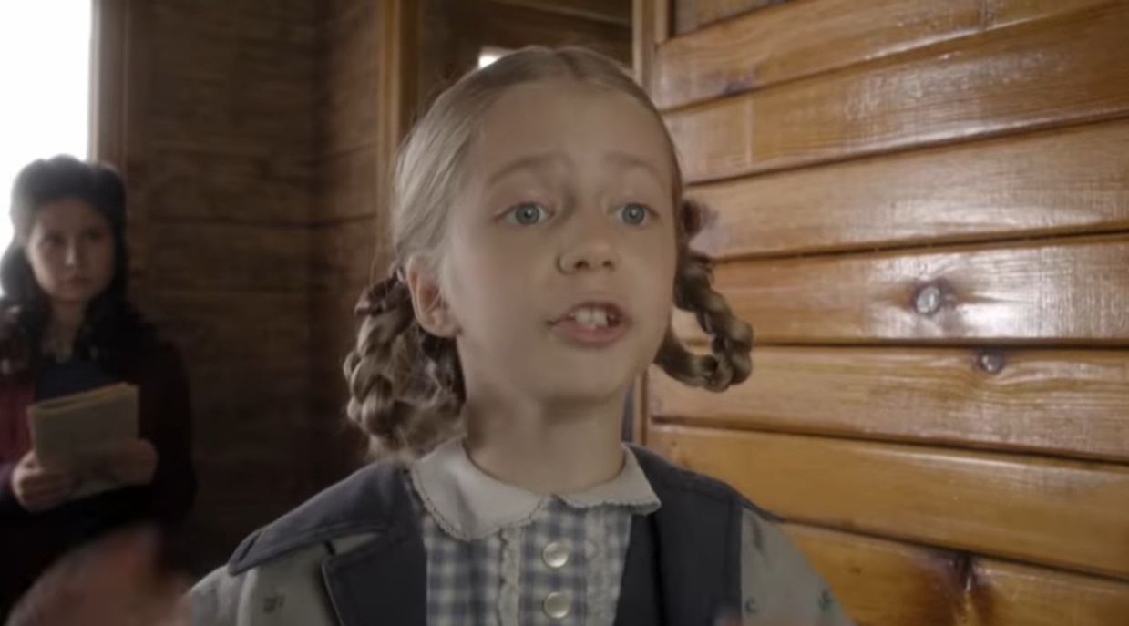   (2017)