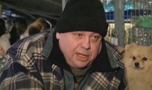  -6 (2005)