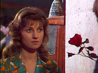   - "  " (1976)