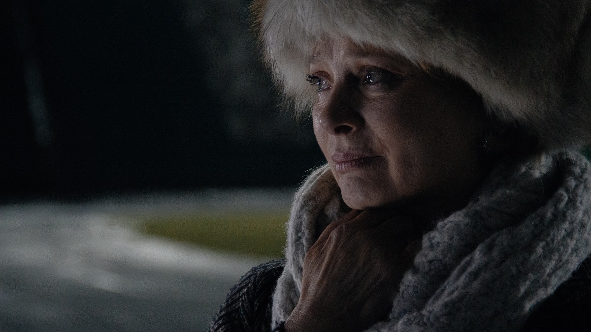  .    (2019)