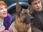 " -3" (2006)