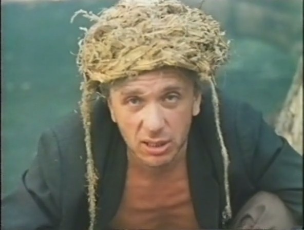  (1993)
