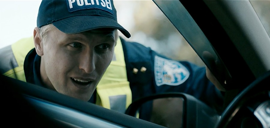  (2017)