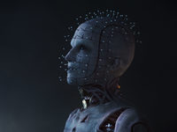 "  " (2022)