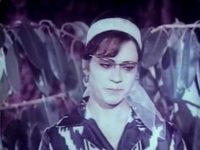 "12   " (1966)