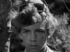   - "  " (1974)