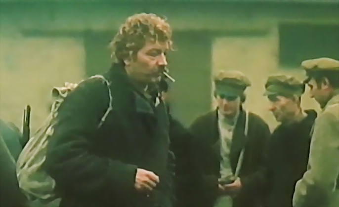  (1982)